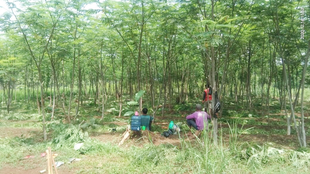 Jual Tanah Luas 3.595 m2 Dekat Pusat Kota Majalengka, Alun-Alun Majalengka, PEMDA Majalengka, RSUD Majalengka, Grage Mall Majalengka